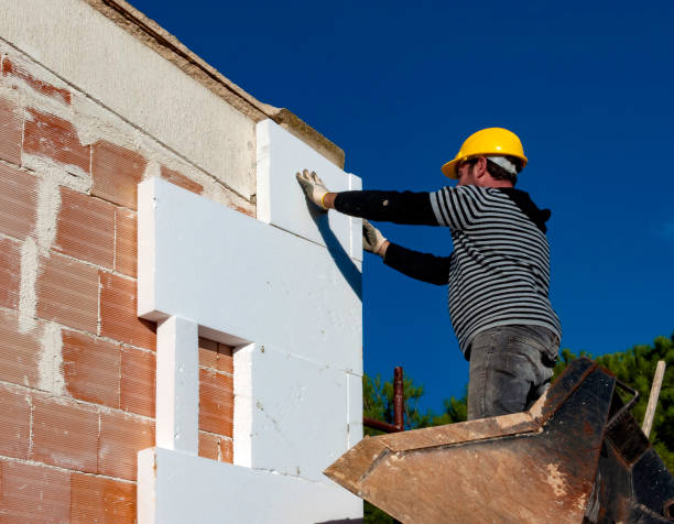 Best Energy Efficiency Insulation in Allendale, CA