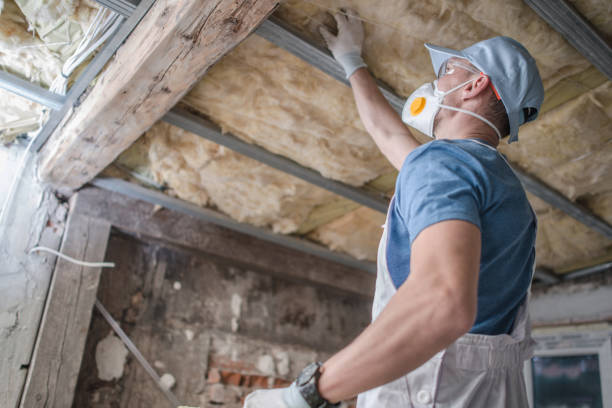 Best Insulation Maintenance and Repair in Allendale, CA