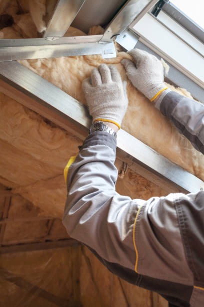 Professional Insulation Contractor in Allendale, CA