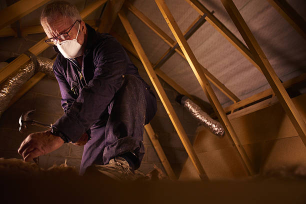 Best Specialized Insulation Services in Allendale, CA